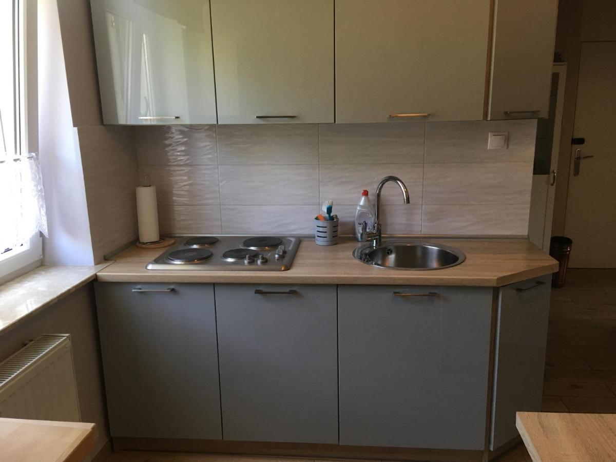 Apartament Olowianka- Danzig Apartman Kültér fotó